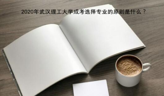 2020年武汉理工大学成考选择专业的原则是什么?