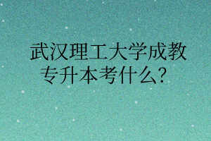 武汉理工大学成教专升本考什么？