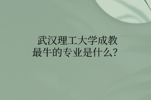 武汉理工大学成教最牛的专业是什么？