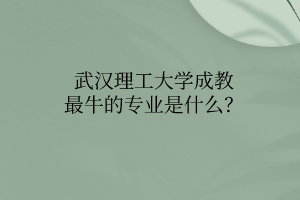 武汉理工大学成教最牛的专业是什么?