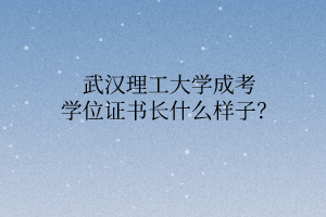 武汉理工大学成考学位证书长什么样子?