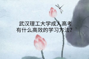 武汉理工大学成人高考有什么高效的学习方法?