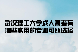 武汉理工大学成人高考有哪些实用的专业可以选择