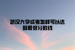 武汉大学成考怎样可以达到最低分数线